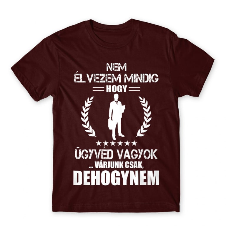 Egy ügyvéd nem tudta kikapcsolni a macskafiltert a Zoom-megbeszélésen