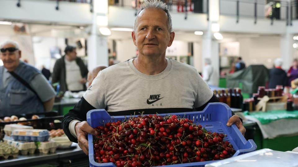 Ahol nem fagyott el a cseresznye, ott kétezer forint kilónkénti árral nyitott a szezon Ahol nem fagyott el a cseresznye, ott kétezer forint kilónkénti árral nyitott a szezon