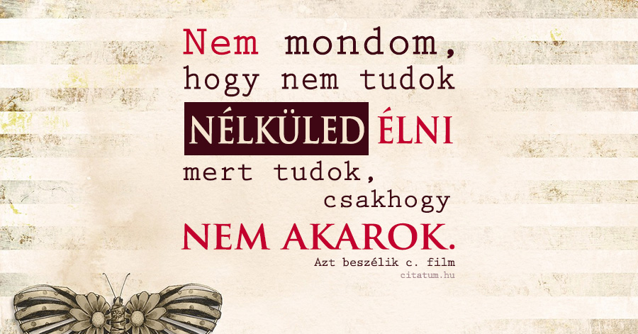 „Nem tudtam, hogy sírjak vagy nevessek” – Figyelemre méltó kátyúzási technológia egy szombathelyi utcában