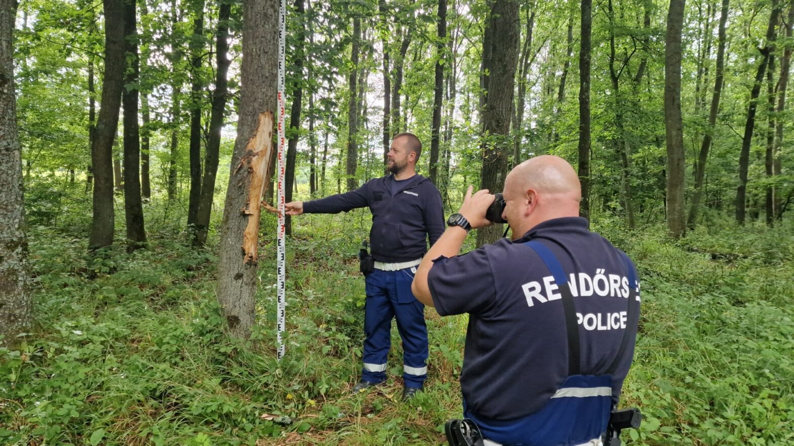 Többször a levegőbe repült, majd fának csapódott egy autó Ják és Szombathely között Többször a levegőbe repült, majd fának csapódott egy autó Ják és Szombathely között